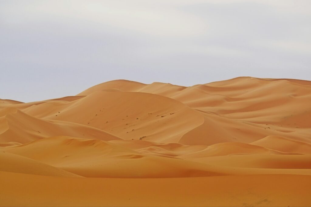 Marrakech to Merzouga desert 3 days tour